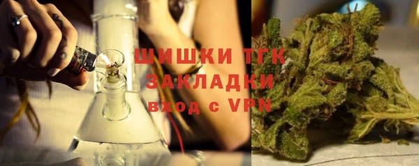 шишки Армянск