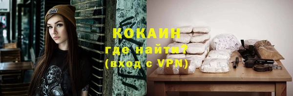 шишки Армянск