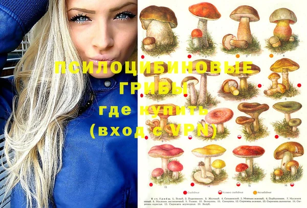 шишки Армянск