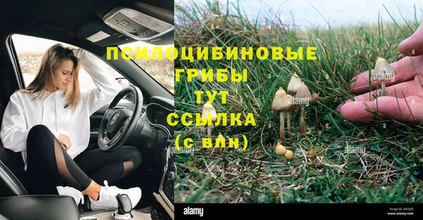 шишки Армянск