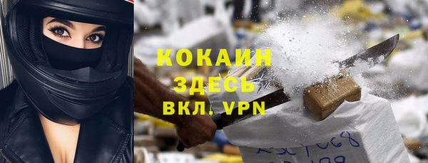 шишки Армянск