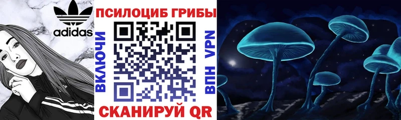 купить закладку Калининск Псилоцибиновые грибы GOLDEN TEACHER